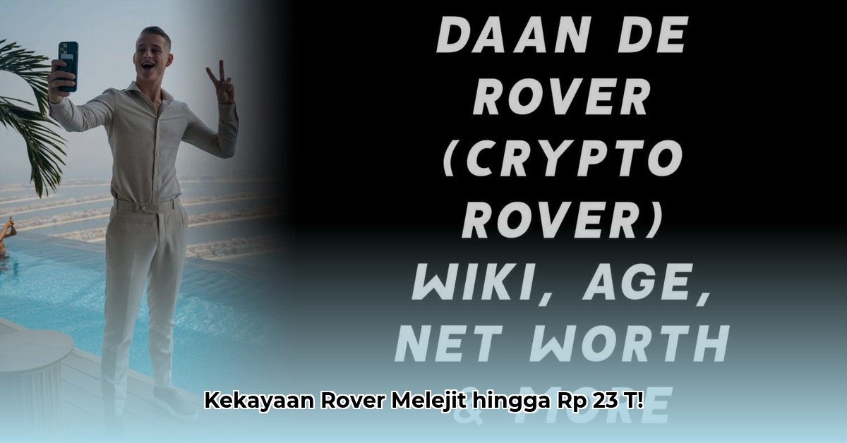 rover net worth